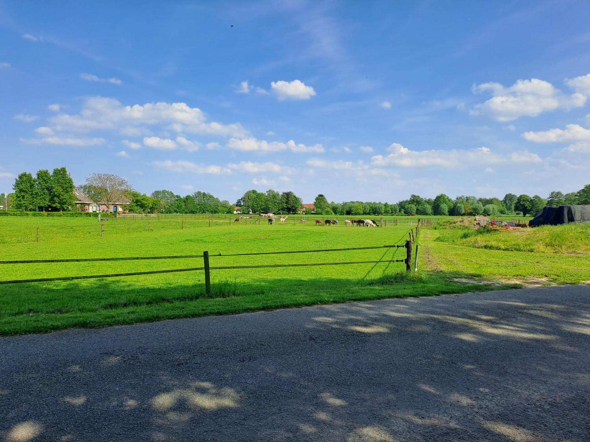 De Platwever 3B Zelhem Bagian luar foto